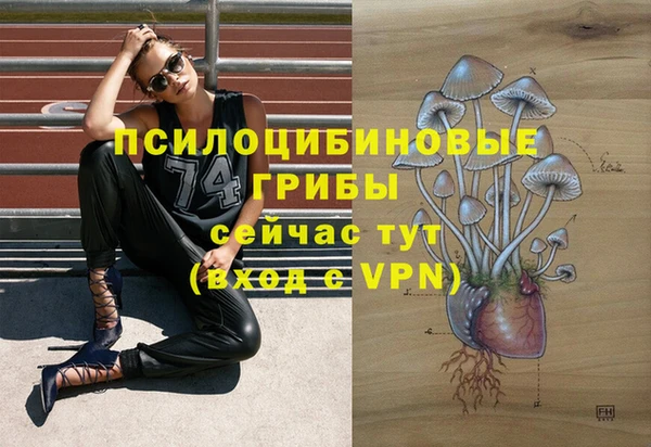 спиды Лабытнанги